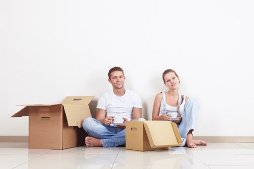 Professional furniture movers handling a sofa