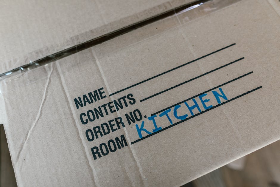 A young woman with curly hair, dressed in a casual grey sweatshirt, is inside a home near an open doorway, holding two large cardboard boxes filled with household items. One box has 'TOYS' written on 