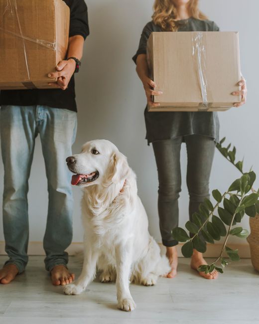 Two individuals are standing indoors, each holding a cardboard box; one box appears slightly larger, and both are secured with packing tape. The individuals are partially visible, with their torsos an